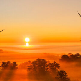 Renewable energy provides green electricity