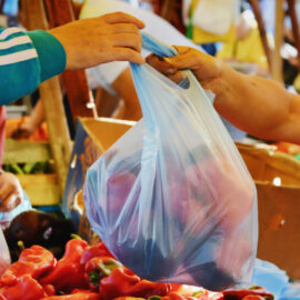 Indien verbietet Einwegplastik! Ein großer Durchbruch im weltweiten Kampf gegen Plastik