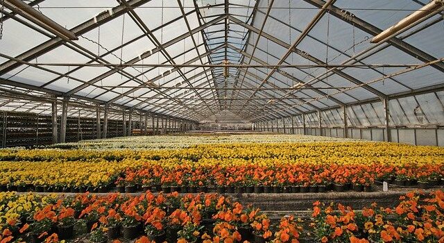 Tipps für eine ökologische, aber effektive Gartenpflege im Frühjahr Tipps für eine ökologische, aber effektive Gartenpflege im Frühjahr
