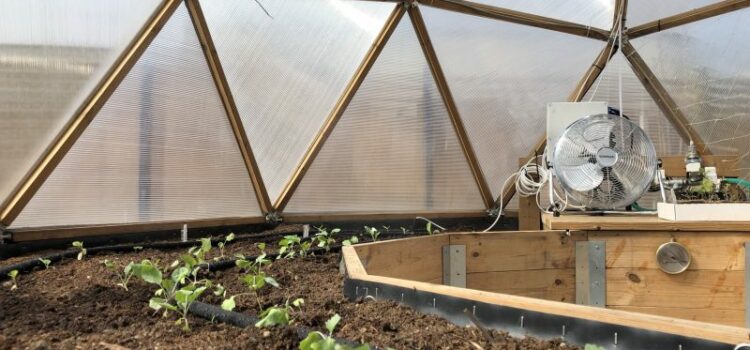 Smart greenhouses bring the future of cultivation
