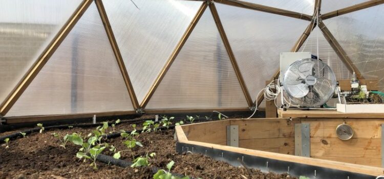 Smart greenhouses bring the future of cultivation Smart greenhouses bring the future of cultivation