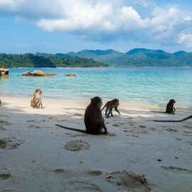 Viaggio sostenibile nel sud della Thailandia