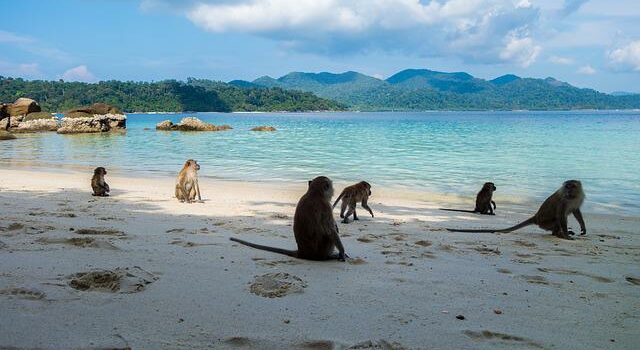 Nachhaltiges Reisen in Südthailand